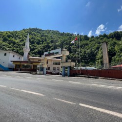 Image Caption